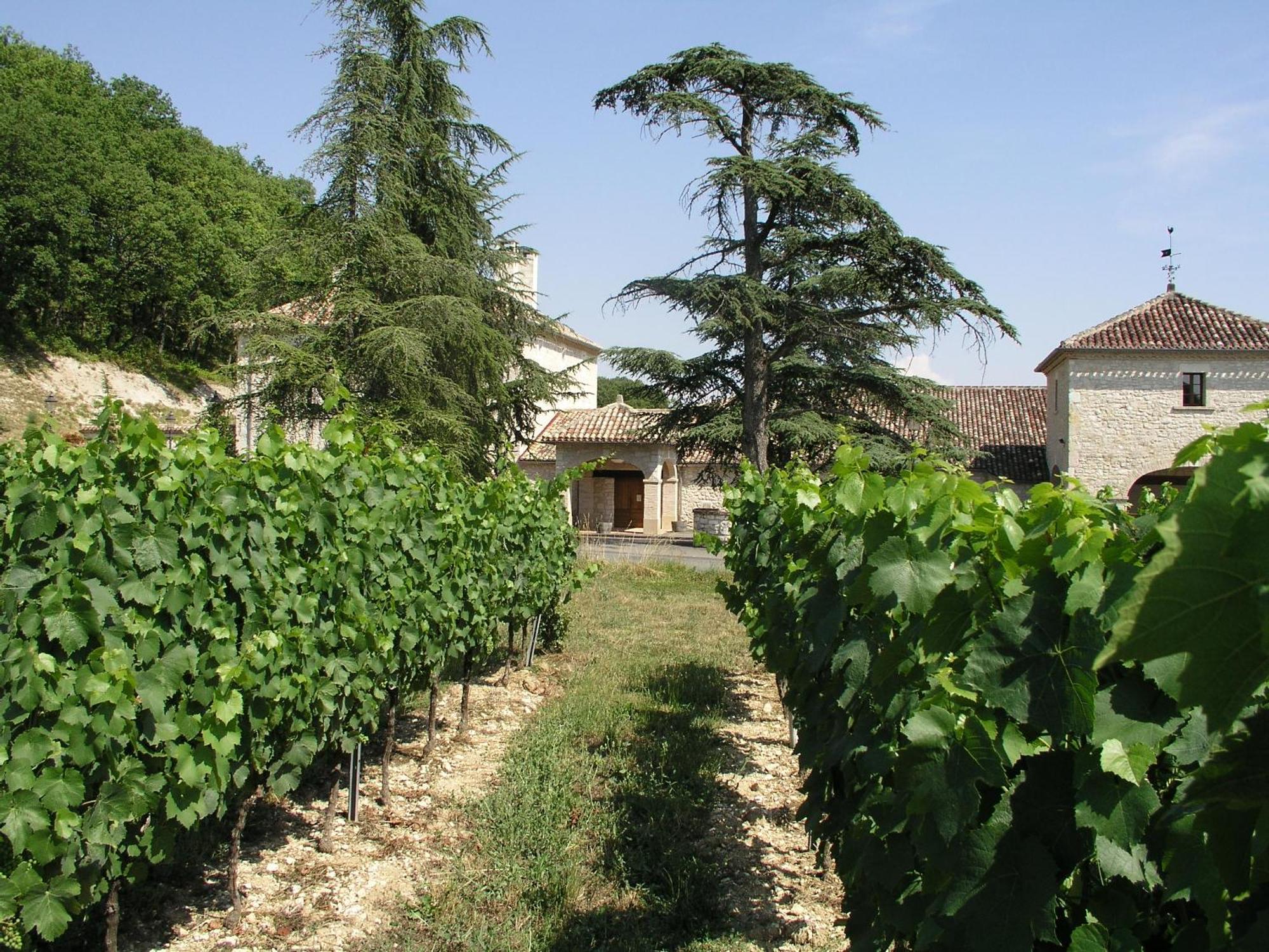 Chateau Lecusse - La Grande Roche - Hotel, Spa, Boutique & Restaurant Broze Экстерьер фото